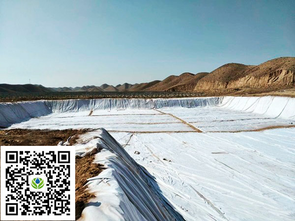 geomembrane composite with non-woven